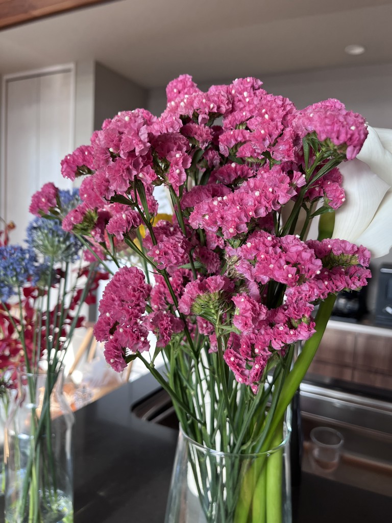 生花】スターチス 大和の灯【赤/50cm/長野県】｜Flower Smith Market