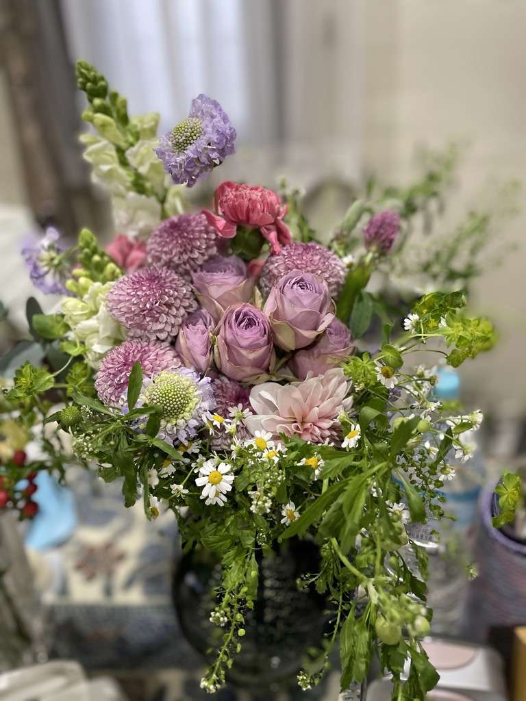 生花】菊(ピンポンマム)ピンク 品種おまかせ【60cm/マレーシア 生花】菊(ピンポンマム)ピンク 品種おまかせ【60cm/マレーシア