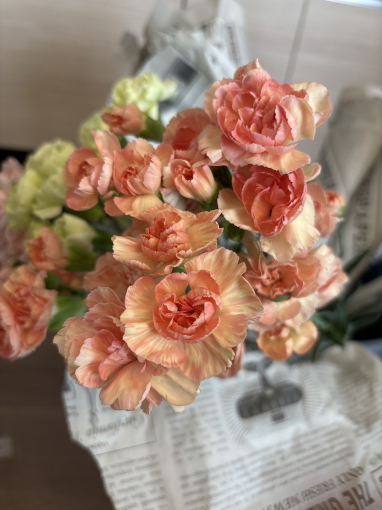 生花】スプレーカーネーション オレンジカスタード【オレンジ/60cm