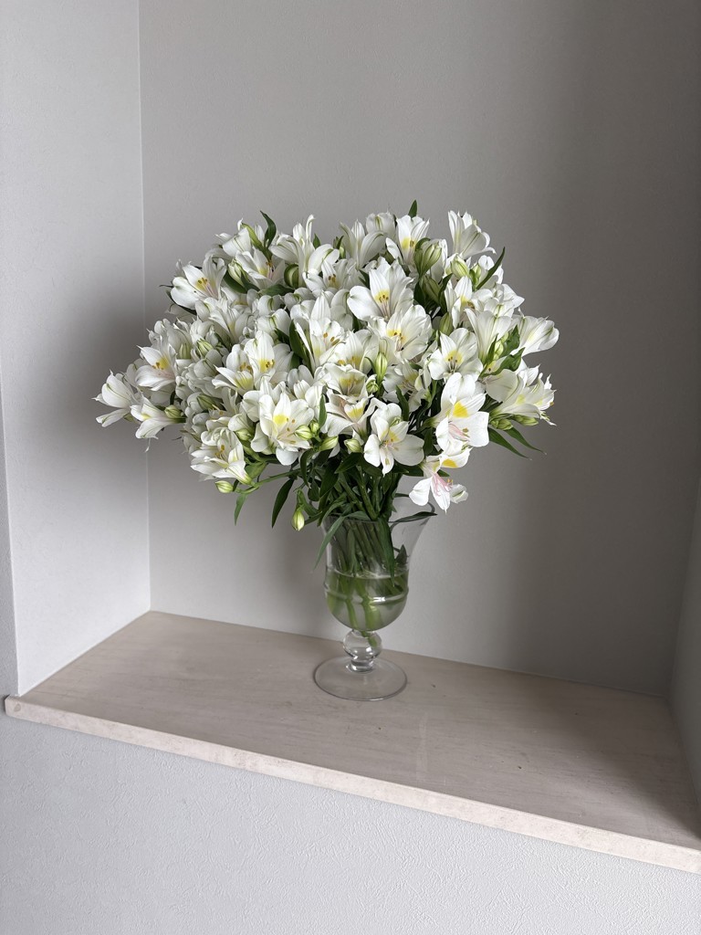 生花】アルストロメリア(白) 品種おまかせ【60cm/愛知県】｜Flower