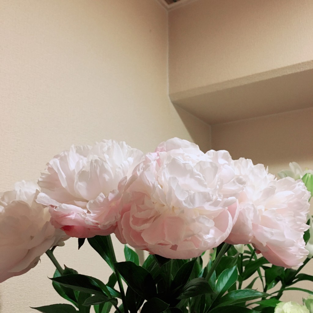 陶板　芍薬の花 黒壷の紅芍薬 – アートレンタルSEITOH