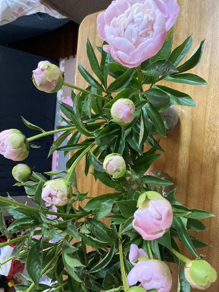 インテリア小物 嵯峨御流 平成三十一年 御題 光 陶器 花瓶 花器