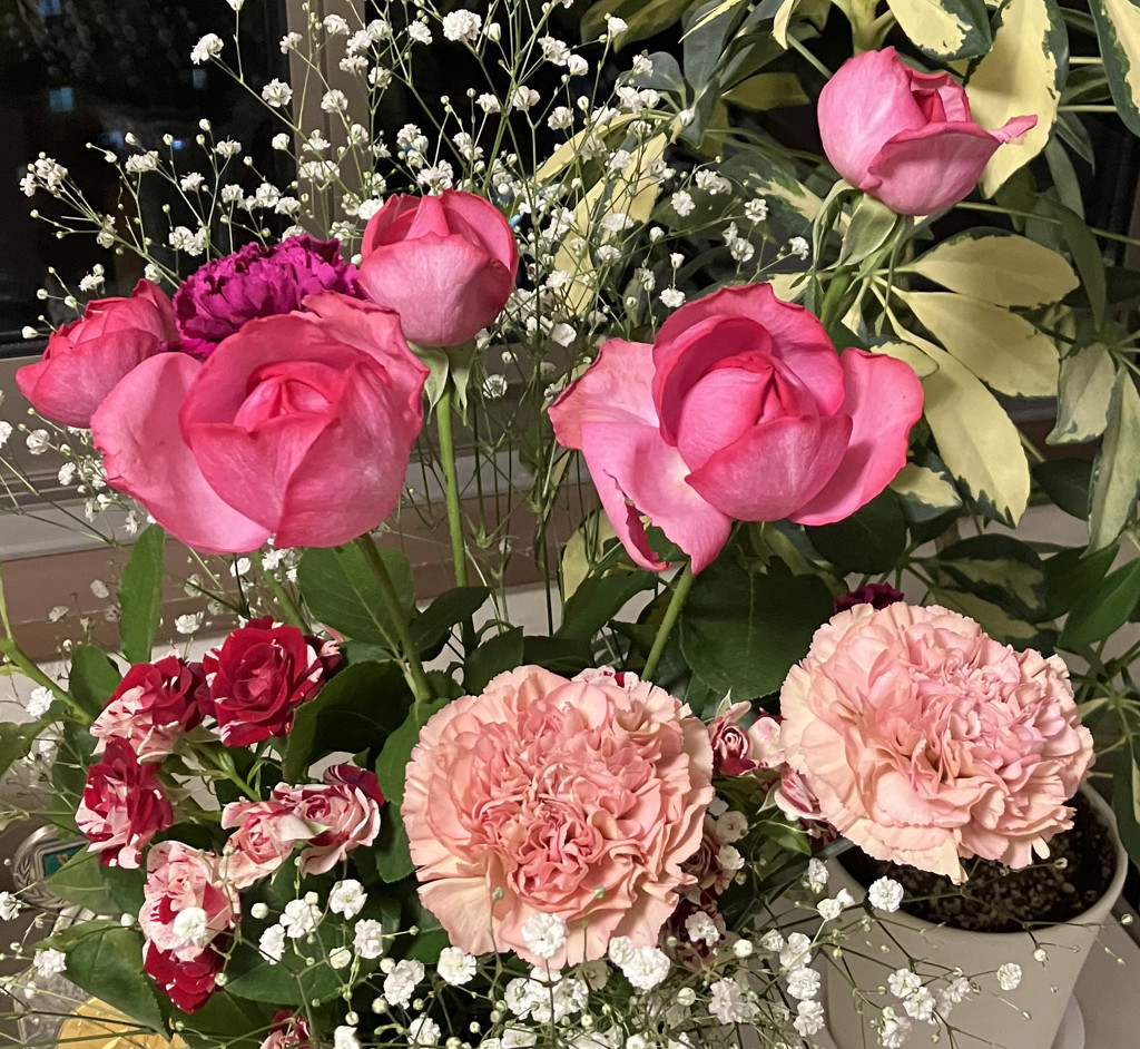 生花】スプレーバラ スパークリンググラフィティ【赤白/60cm