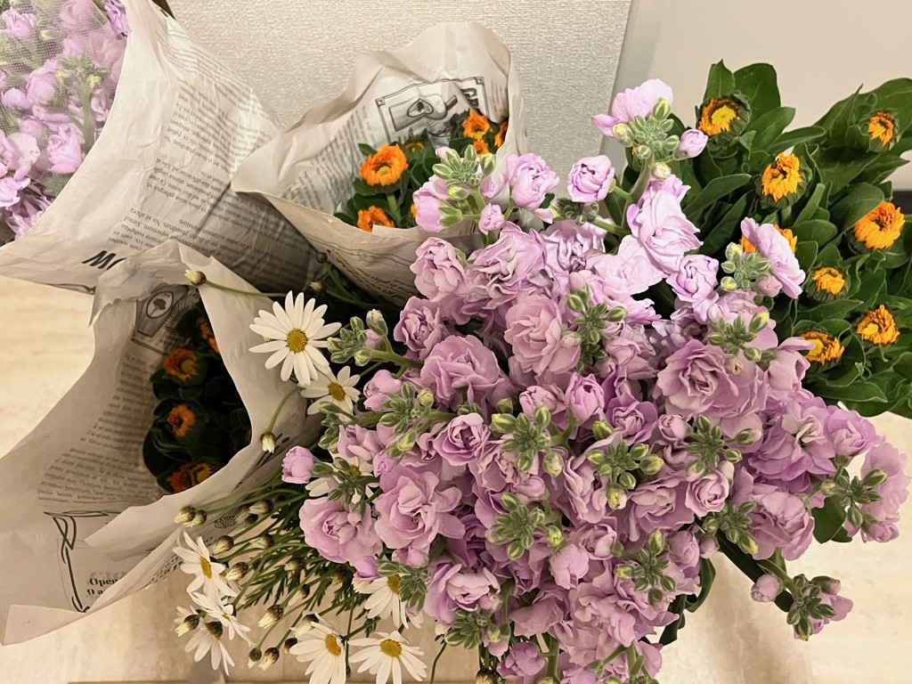 生花】スプレーストック マリンカルテット【薄紫/70cm/千葉県