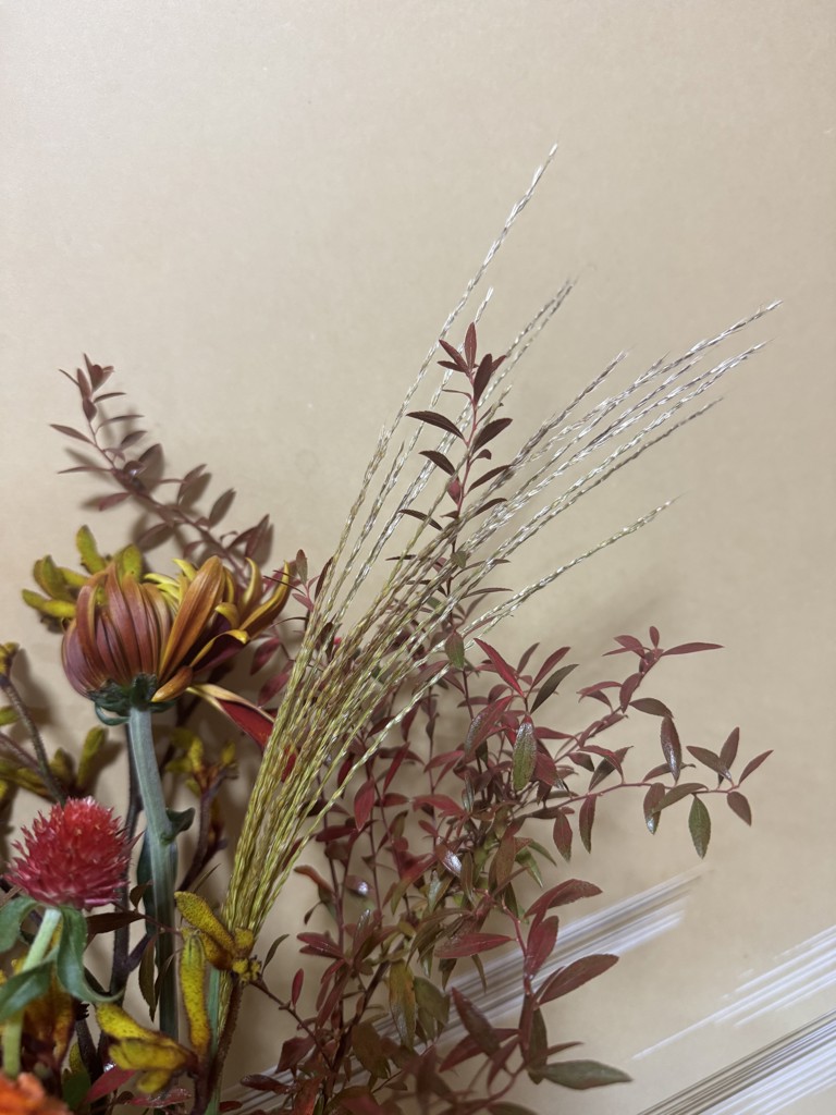 生花】ススキ(茶) 品種おまかせ【70cm】｜Flower Smith Market