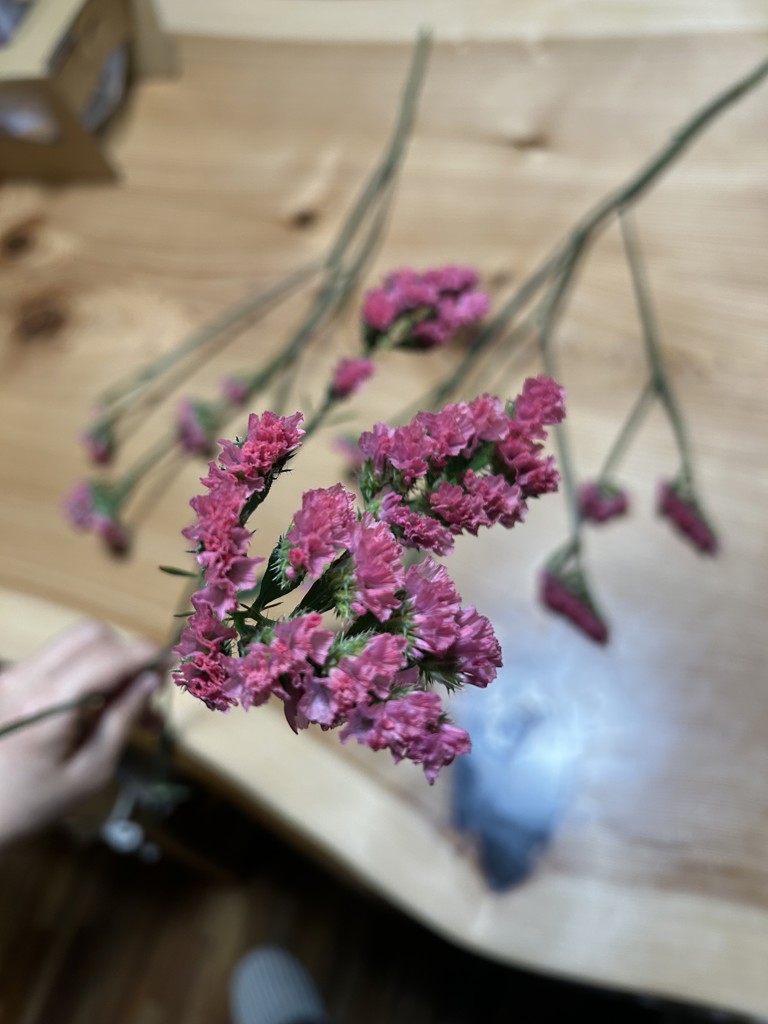 生花】スターチス 大和の灯【赤/50cm/長野県】｜Flower Smith Market