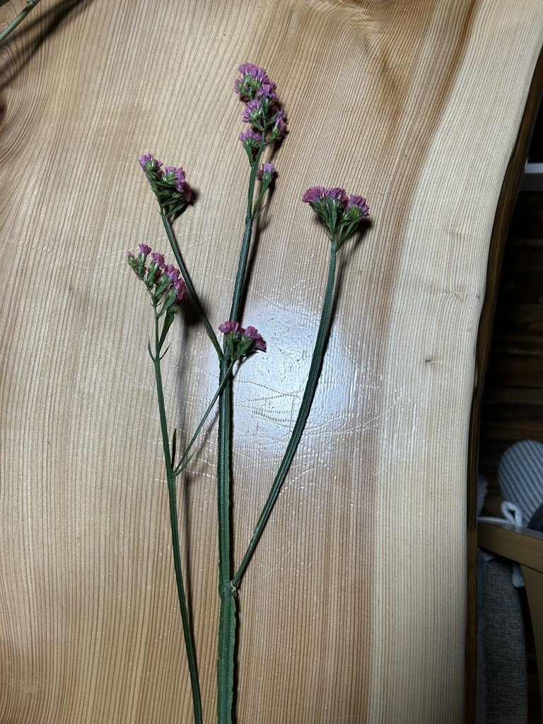 【大人気】スターチス3種類セット　 合計130本　花 生花】スターチス 大和の灯【赤/50cm/長野県】｜Flower Smith Market