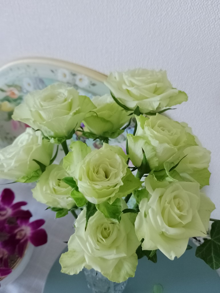 特選紋意匠地小紋着尺【白薔薇◆ミントグリーン】白緑色 薔薇 バラ ホワイト 特選紋意匠地小紋着尺【白薔薇◇ミントグリーン】白緑色 薔薇 バラ