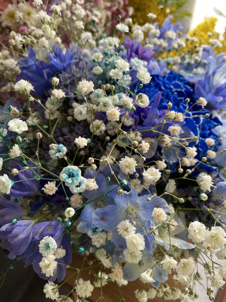 青いカーネーション 青いカーネーション（染め）20本の花束｜花キューピット