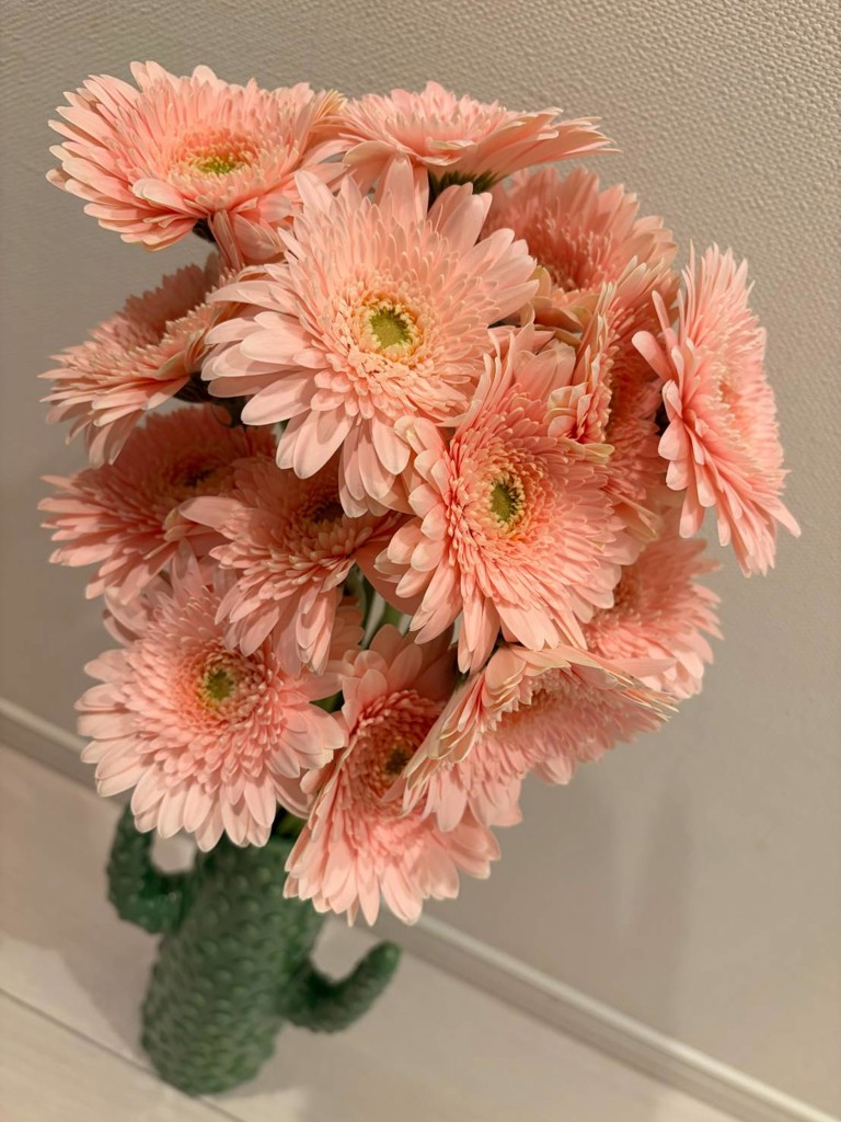 生花】ガーベラ(薄ピンク) 品種おまかせ【60cm/静岡県】｜Flower Smith