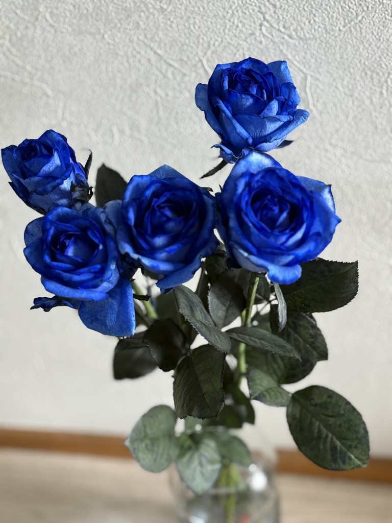 生花】バラ アヴァランチェロイヤルブルー【青/70cm/静岡県】｜Flower