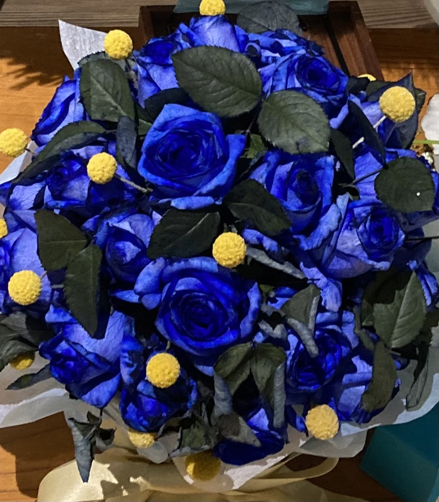 高級コート【へちま衿コート◆薔薇】ロイヤルブルー 青 黒 シーラ・クリフ blue&black】バイカラーパッチワークコート(その他のコート・ブルゾン