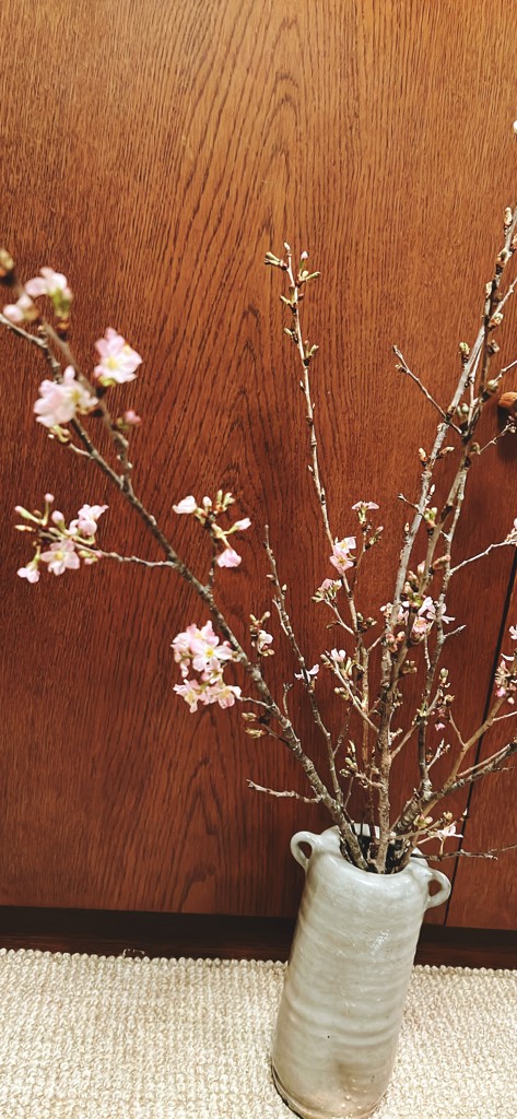 生花】桜 品種おまかせ【80cm/山形県】｜Flower Smith Market