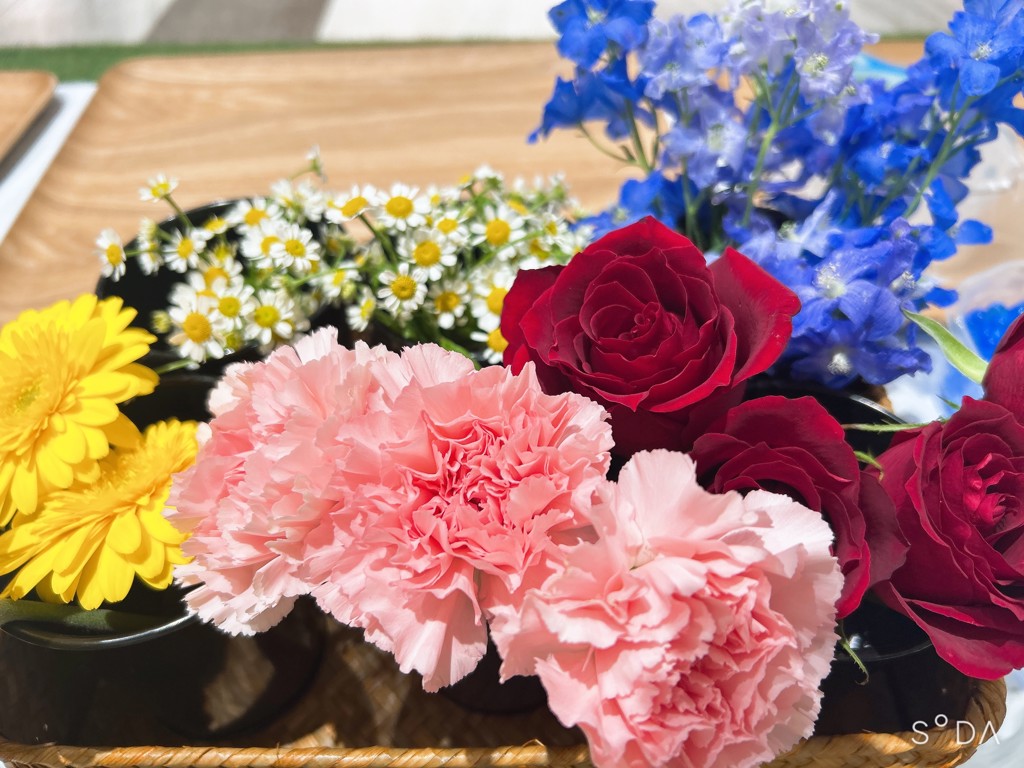 生花】カーネーション(薄ピンク) 品種おまかせ【60cm/愛知県