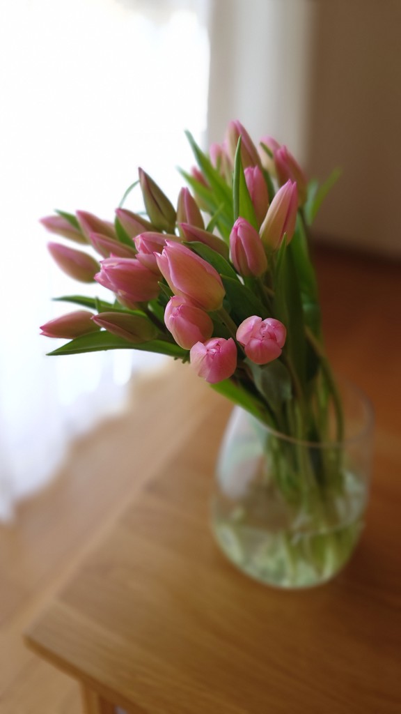 チューリップ50万円です。 imgrc0137068910.jpg