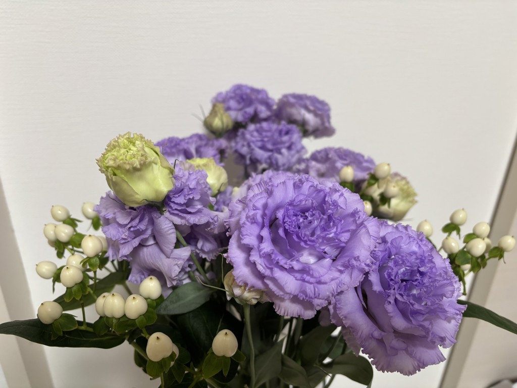 トルコキキョウ トルコキキョウ「NFケイト」 | tokyo_shokubutsu_zufu