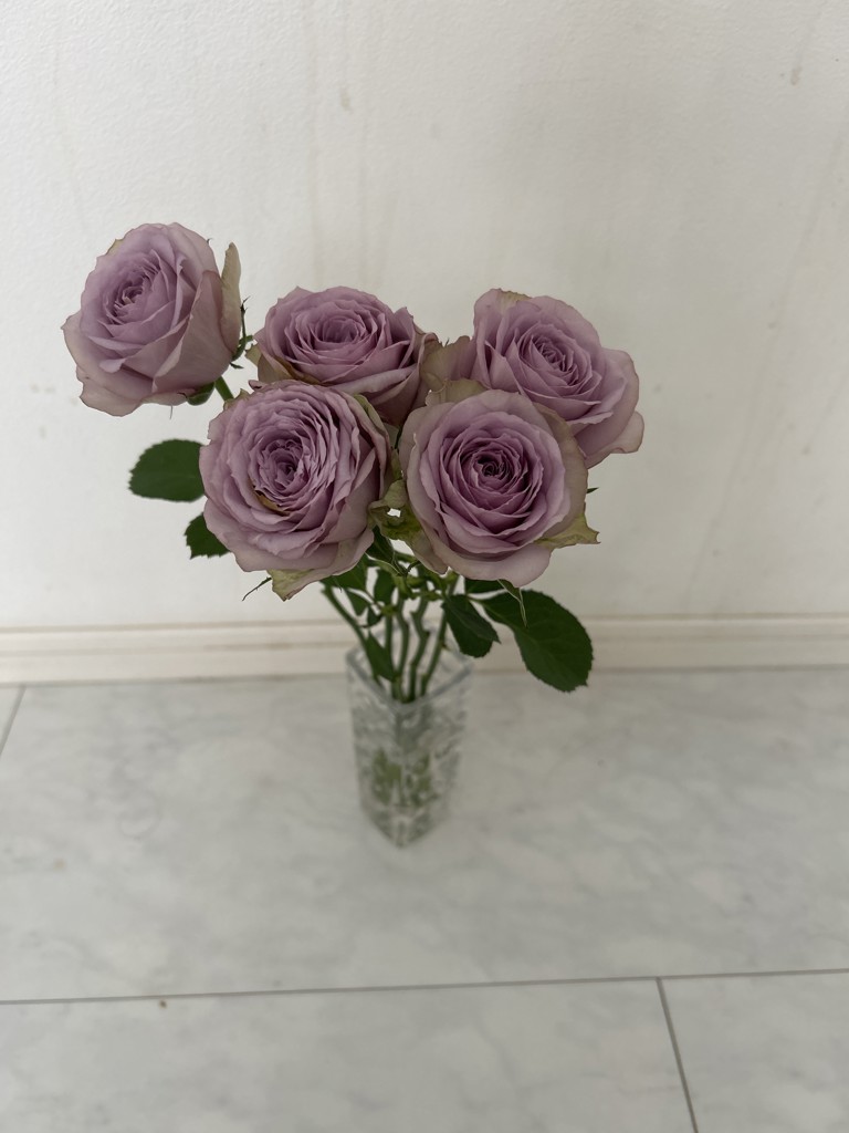 生花】バラ ライラッククラシック【薄紫/60cm/山形県】｜Flower