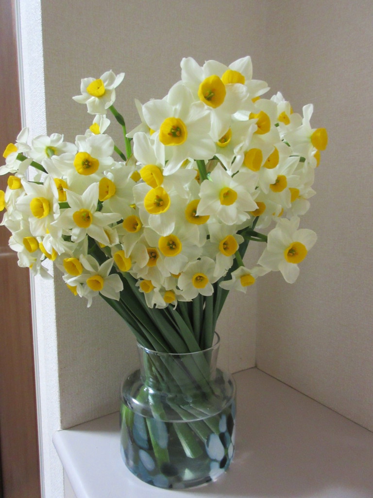 生花】スイセン 日本水仙【白/40cm/福井県】｜Flower Smith Market