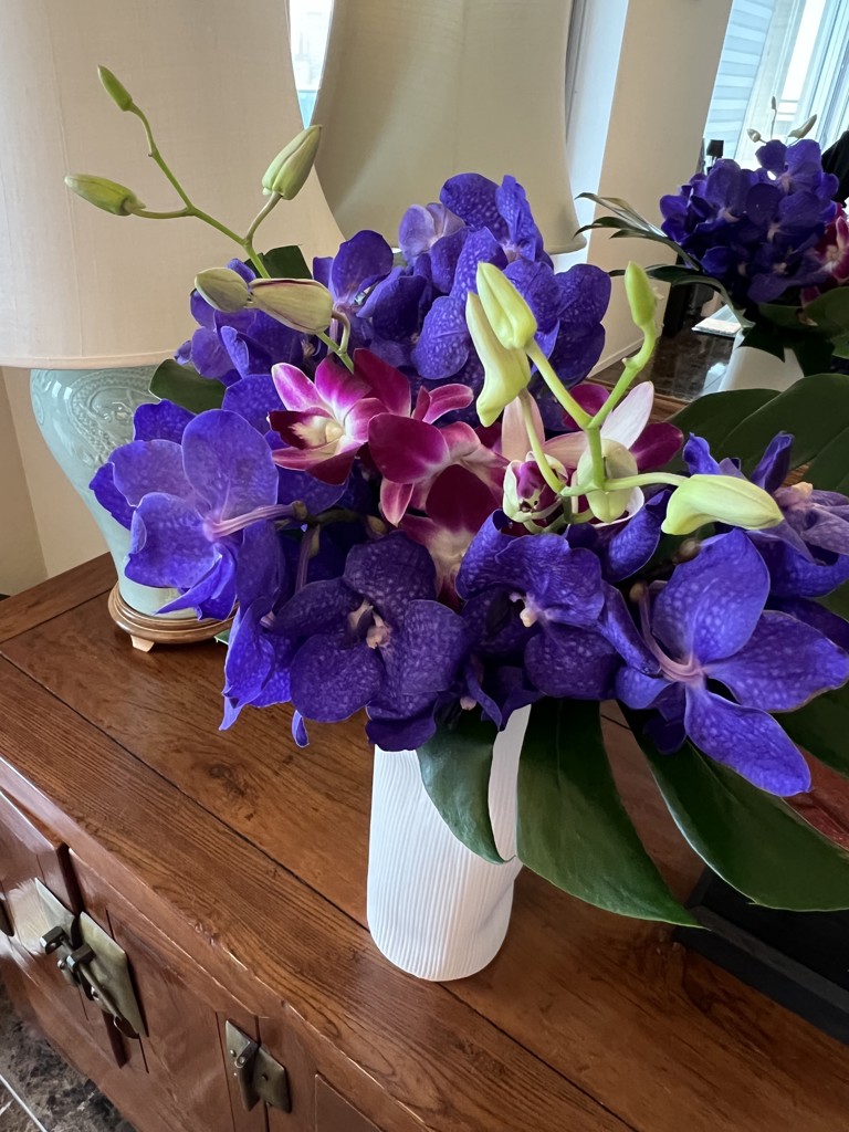 生花】バンダブルー【紫/30cm/台湾】｜Flower Smith Market（フラワー