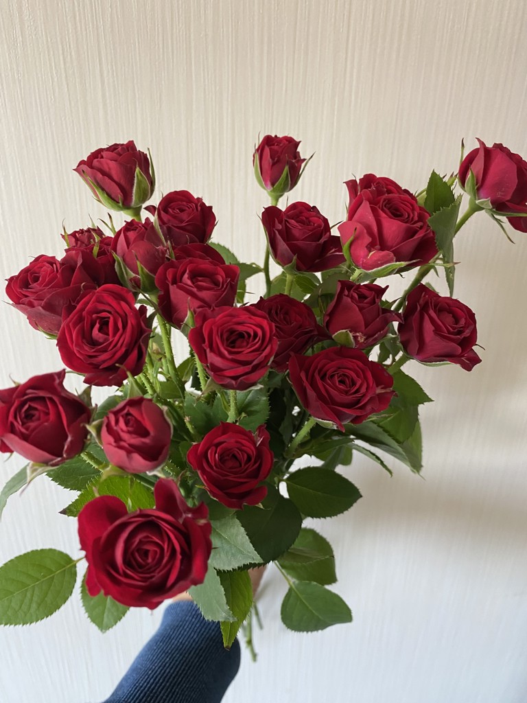 【未使用品】赤本7万円分‼️バラ売り可‼️ 頭文字D、大宮智史「ロードスター」＆小早川「ランエボ VII」1