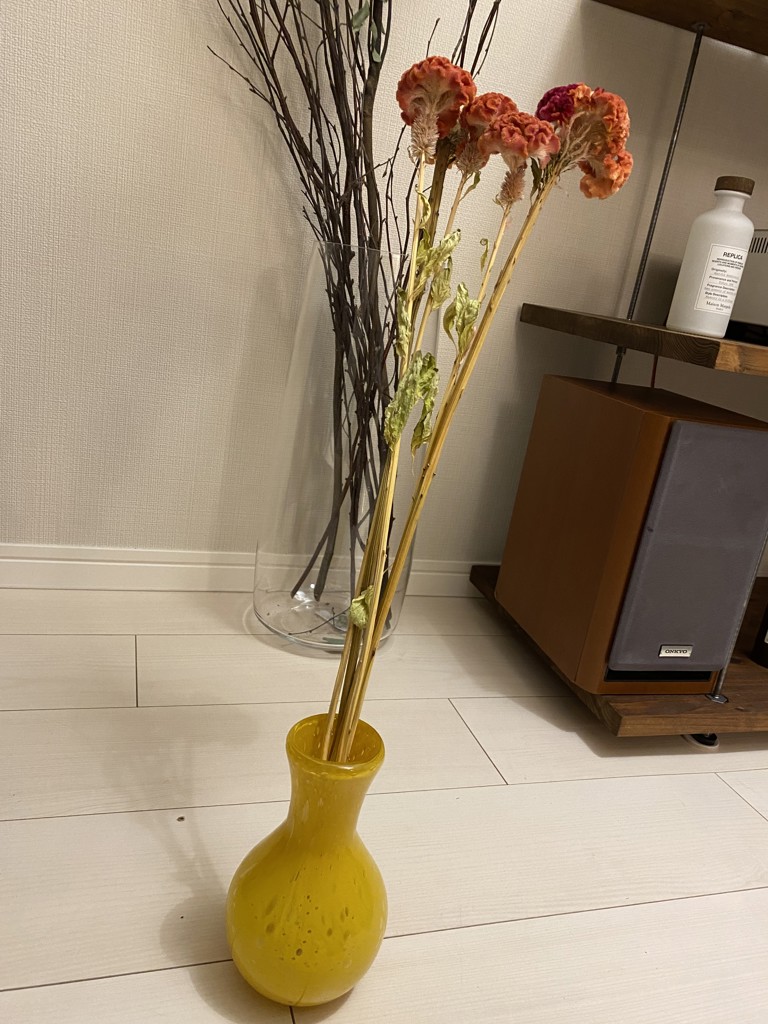 ドライ】ケイトウ クルメオレンジ【50cm】｜Flower Smith Market