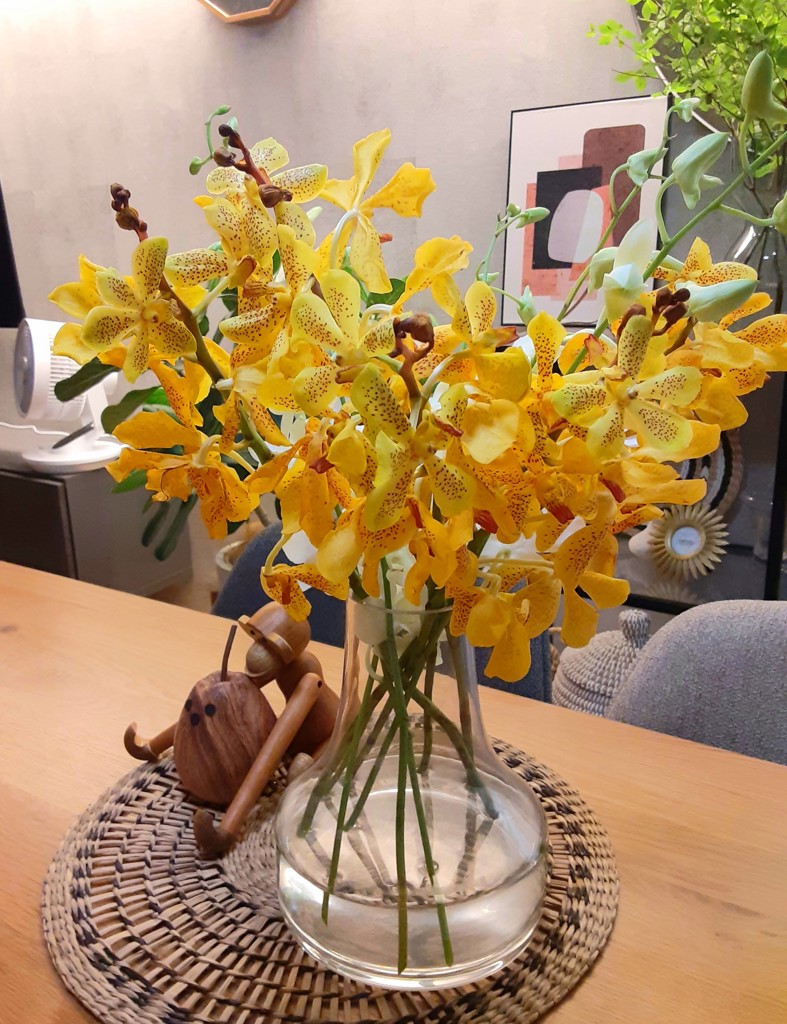 生花】モカラ サンセット【黄/45cm/タイ】｜Flower Smith Market