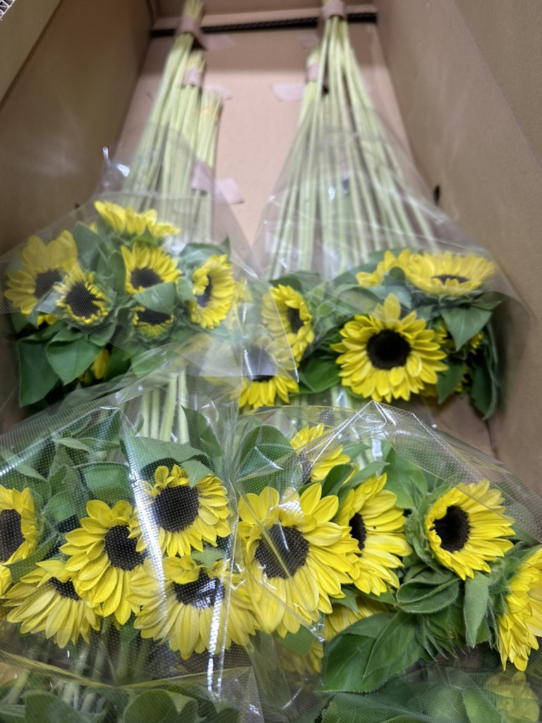 生花】ひまわり(黄) 品種おまかせ【60cm/千葉県】|Flower Smith 生花】ひまわり(黄) 品種おまかせ【60cm/千葉県】|Flower Smith