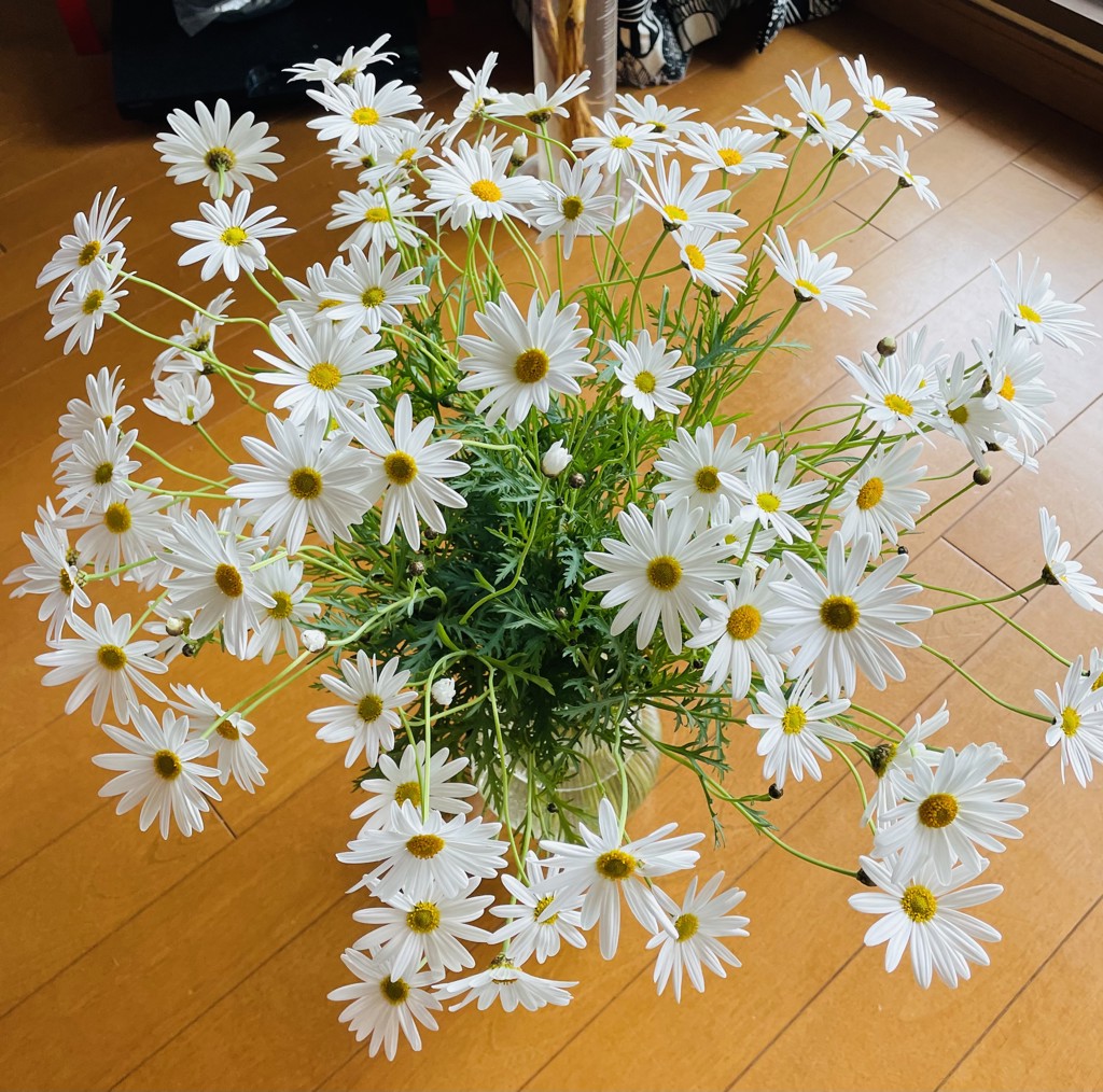李　文魯　のマーガレット お花の刺繍］#8 マーガレット - YouTube
