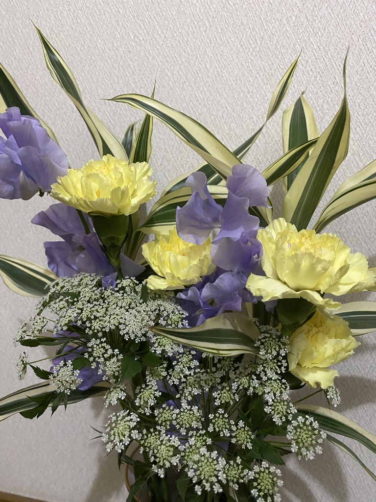 生花】レースフラワー ホワイトレース【白/60cm/北海道】｜Flower