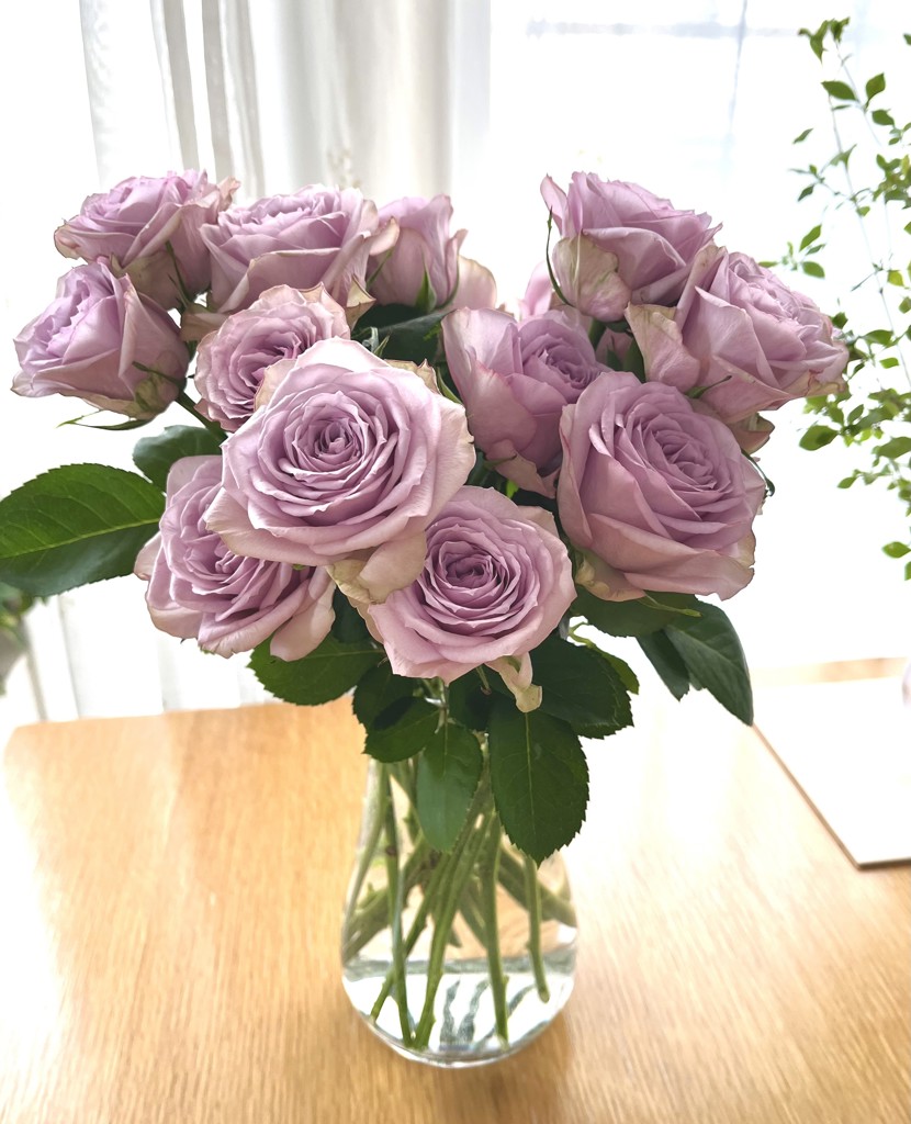生花】バラ ライラッククラシック【薄紫/60cm/山形県】|Flower 生花】バラ ライラッククラシック【薄紫/60cm/山形県】|Flower
