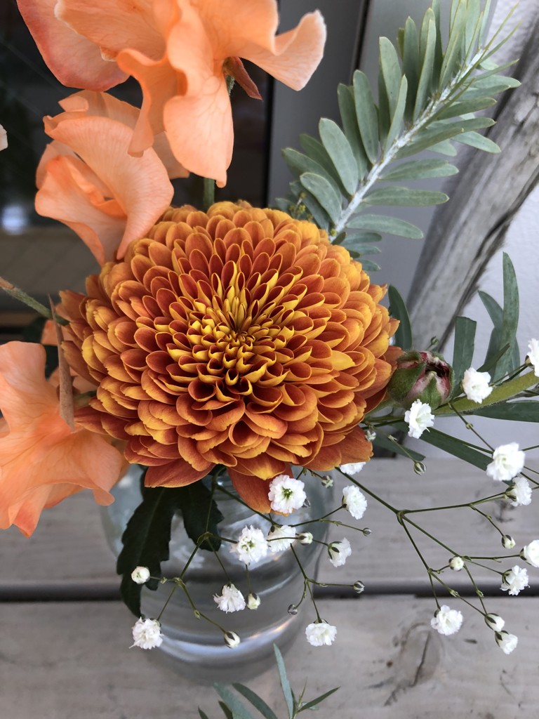 オレンジ色の菊 5本 花瓶付き 生花】菊(ディスバッドマム)オレンジ 品種おまかせ【60cm/マレーシア