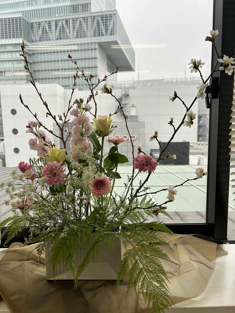 生花】桜（啓翁）【薄ピンク/70cm/山形県】｜Flower Smith