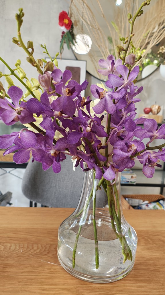 生花】モカラ ライラックブルー【紫/45cm/タイ】｜Flower Smith Market