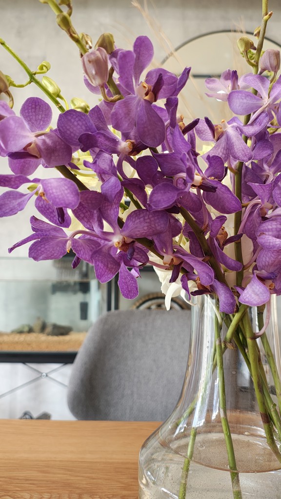 生花】モカラ ライラックブルー【紫/45cm/タイ】｜Flower Smith Market