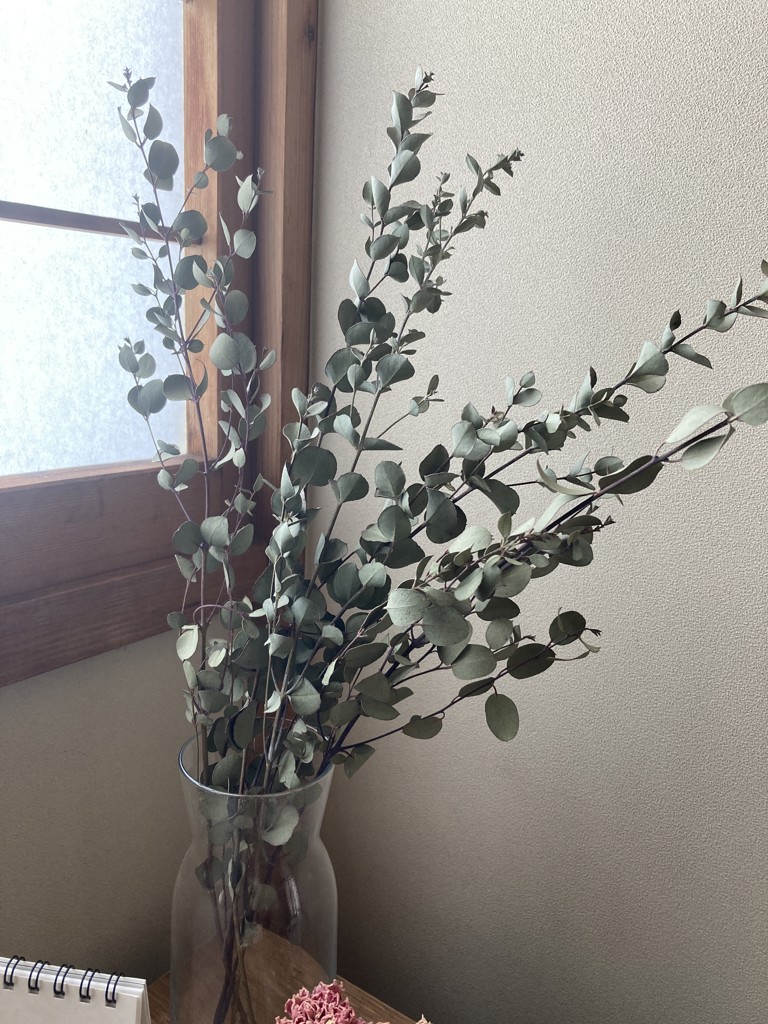 ドライ】ユーカリ グニユーカリ【緑/50cm】｜Flower Smith Market