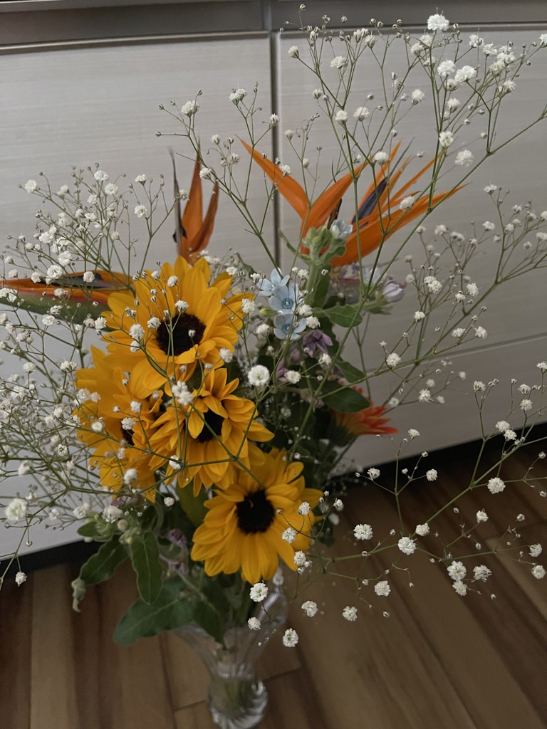 ひまわりのガーランド【ひまわり＊サンリッチオレンジ】ドライフラワー 生花】ひまわり サンリッチフレッシュオレンジ【60cm/千葉県】｜Flower