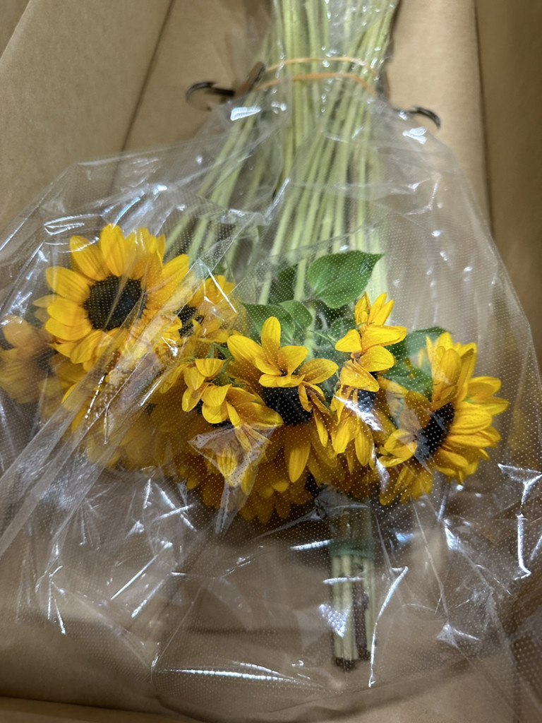 ひまわり様　4点 産地直送 ひまわり花束 ミックス咲き S（10本入り）／千葉 金井