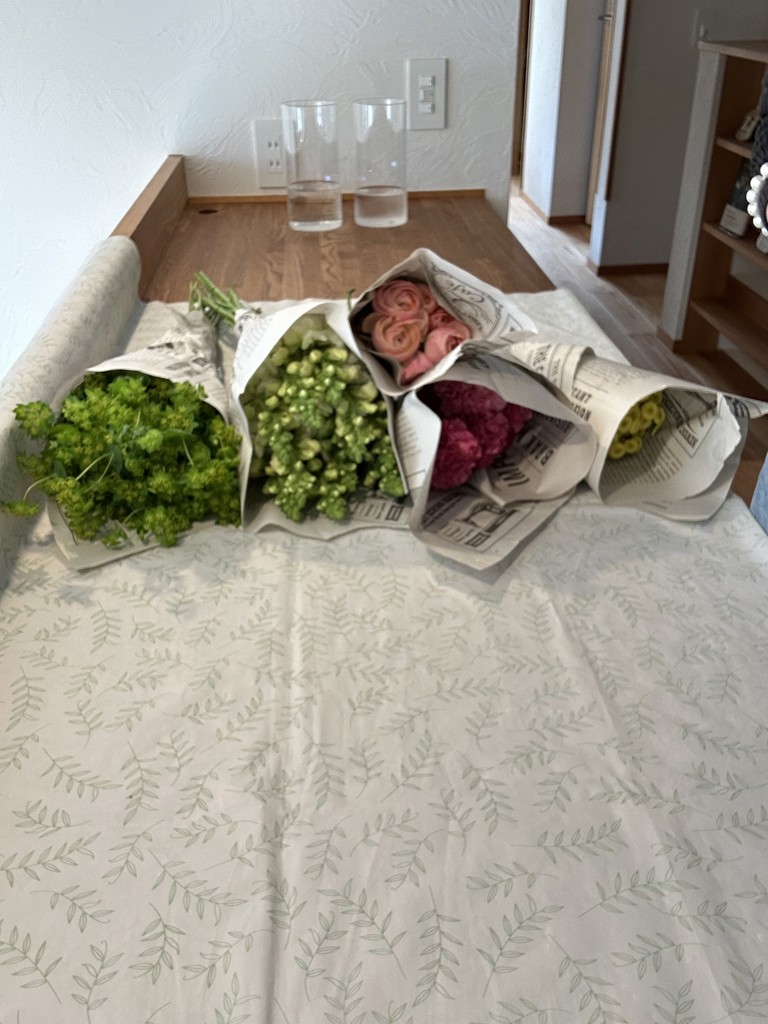 生花】カーネーション バイパーワイン【ピンク赤/60cm/長野県