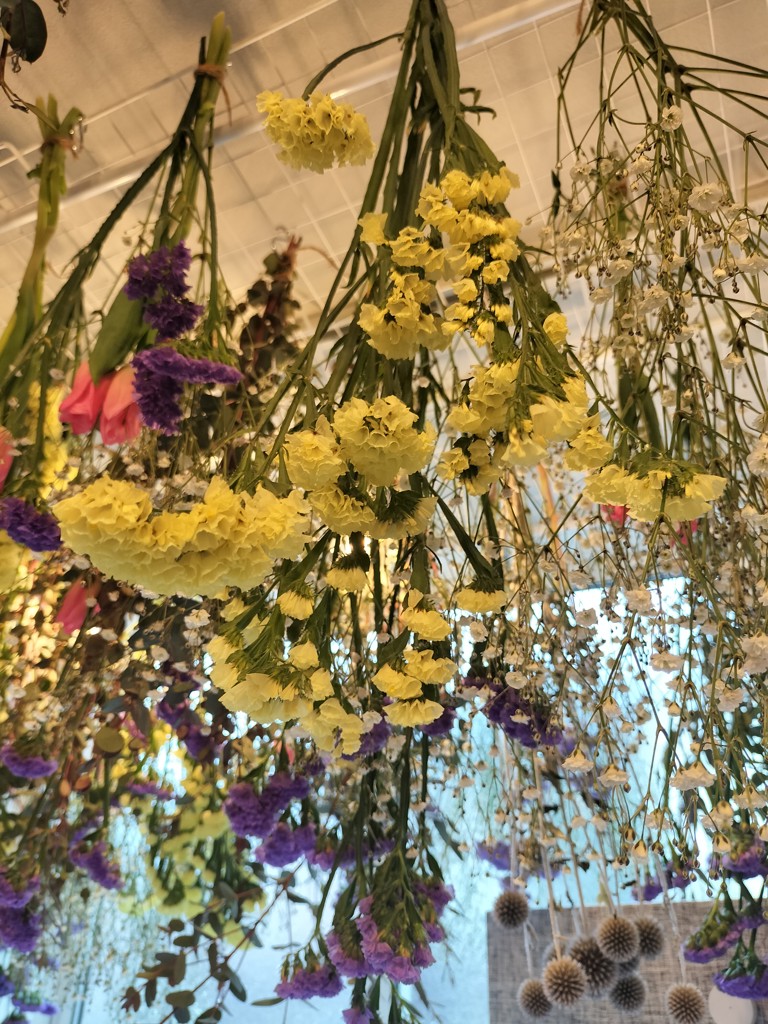 生花】スターチス(黄) 品種おまかせ【50cm/和歌山県】｜Flower Smith