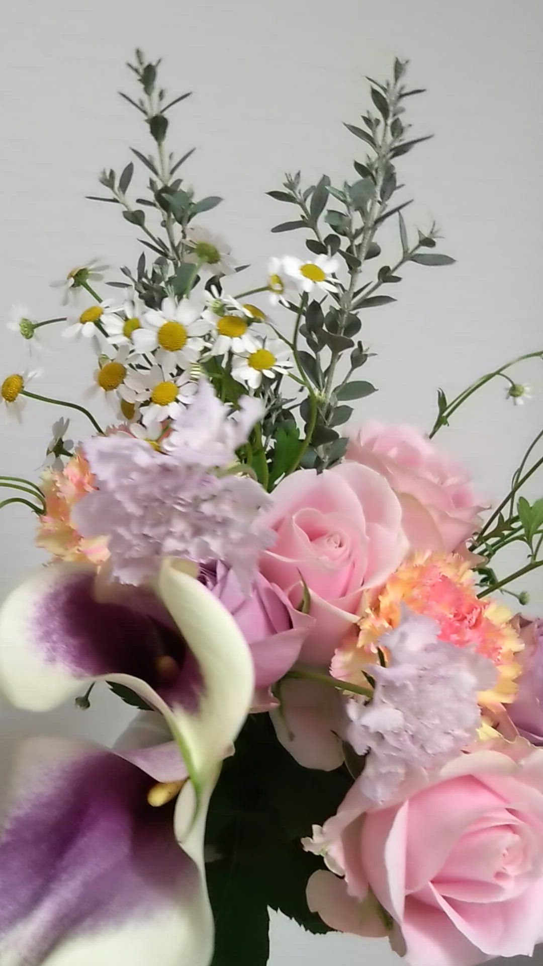 生花】バラ スイートアヴァランチェ＋【薄ピンク/60cm/愛知県