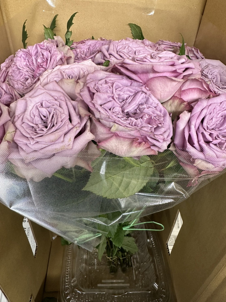 生花】バラ ドルチェット!【薄紫/40～50cm/愛知県】｜Flower Smith