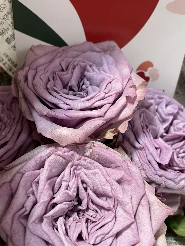 生花】バラ ドルチェット!【薄紫/40～50cm/愛知県】｜Flower Smith