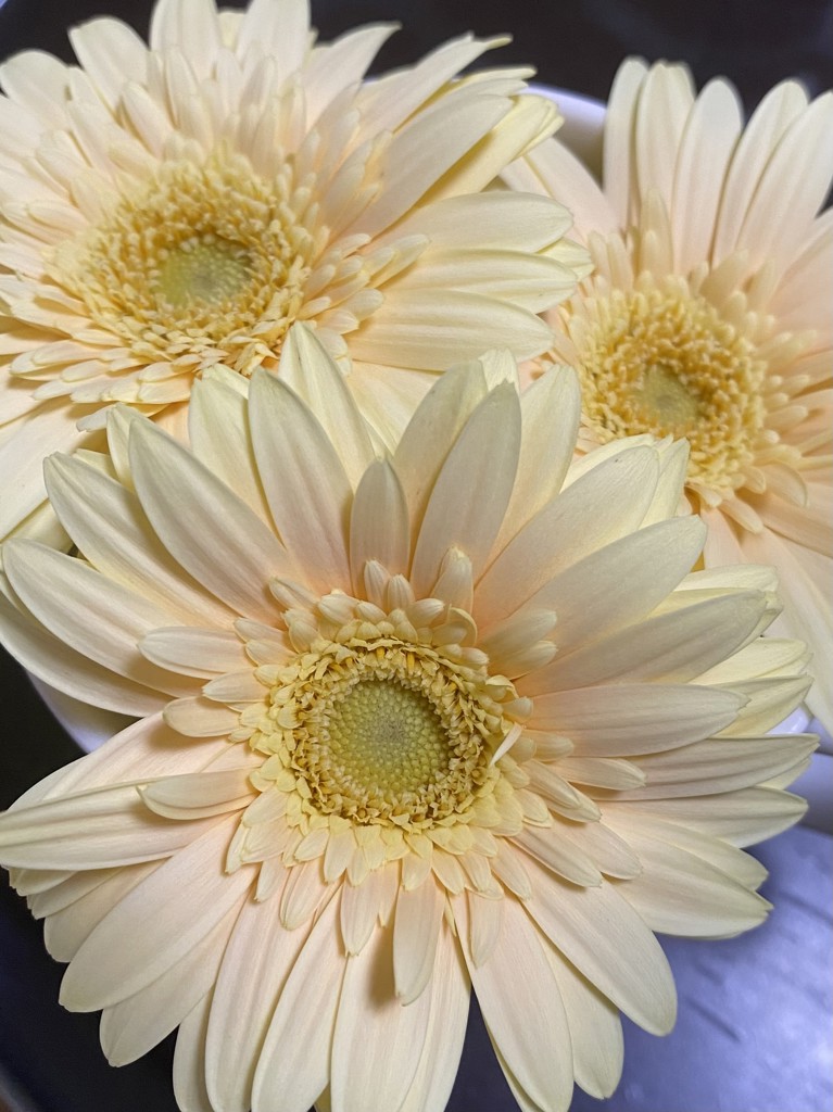 フラワースミスギフトのこだわり｜Flower Smith Gift（フラワー