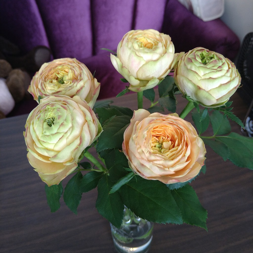 生花】バラ ヘリオスロマンティカ【オレンジ/50cm/山形県】｜Flower