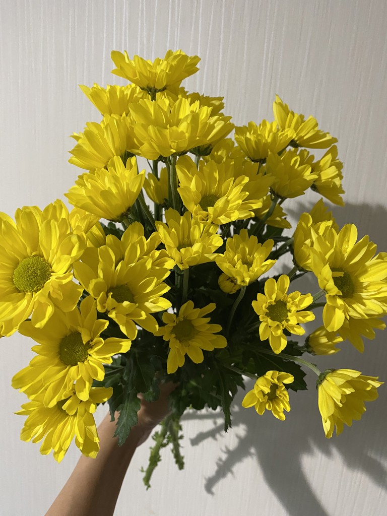 クレープペーパーフラワー 菊 黄色 その他