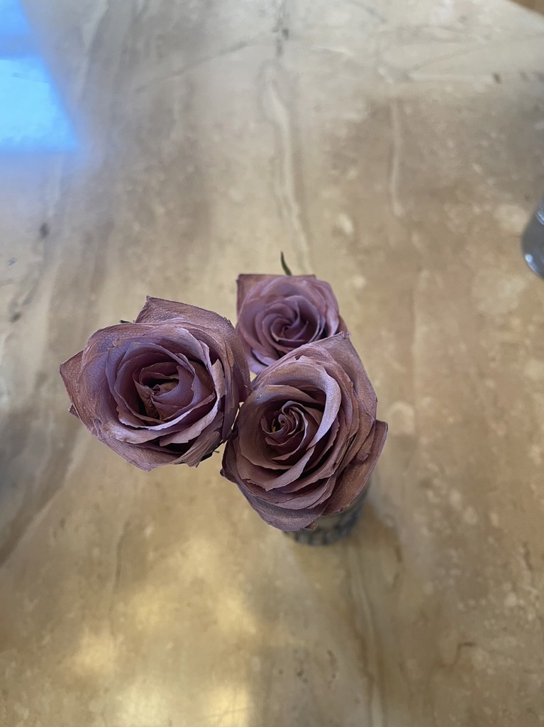 のの★薔薇と紫陽花　最高級綿100%セミダブル　クイーン仕立て直し 母の日 2023 プレゼント 花 ギフト アジサイ おしゃれ 豪華 逸品