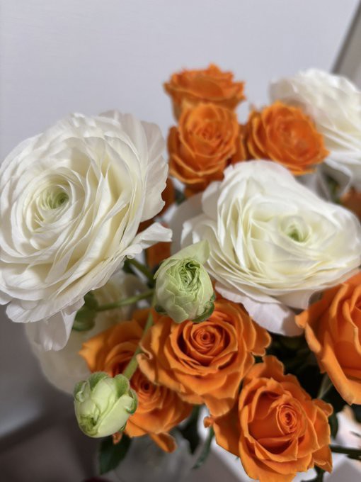 生花】スプレーバラ シンディ【オレンジ/70cm/静岡県】｜Flower Smith