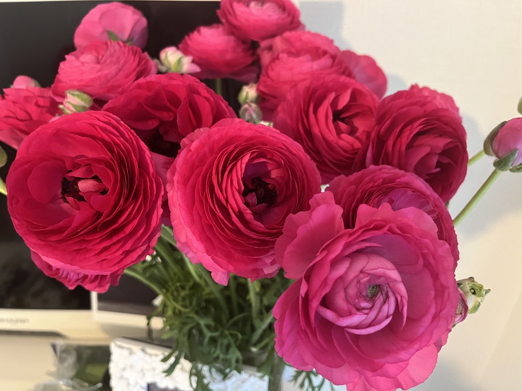 アメリカンフラワー　睡蓮　JUNさま専用 アメリカンフラワー 睡蓮 JUNさま専用 アメリカンフラワー 睡蓮 JUN