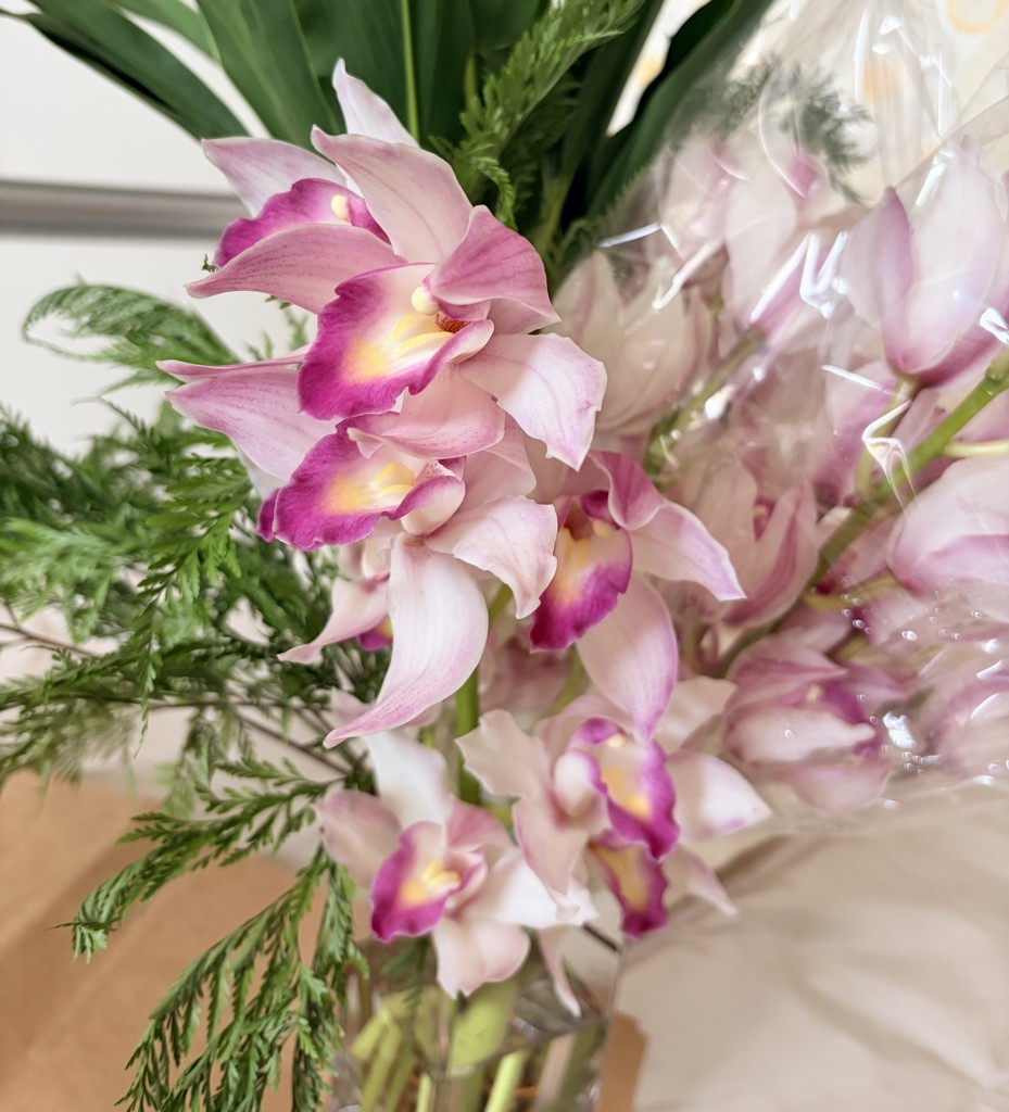 生花】シンビジウム(ピンク) 品種おまかせ【60cm/徳島県】｜Flower