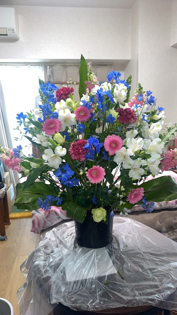 生花】タニワタリ(緑) 品種おまかせ【60cm/沖縄県】｜Flower Smith